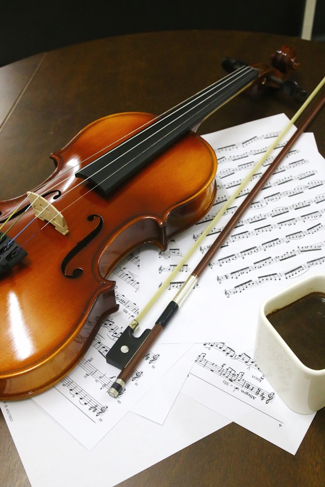 Violin on black background
